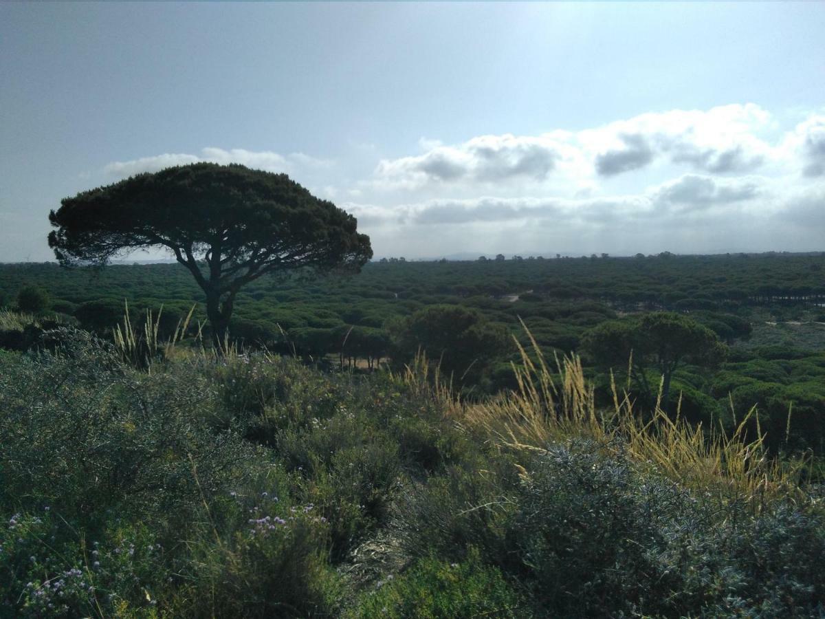 Alojamiento Dos Bahias Villa Chiclana de la Frontera Exterior foto